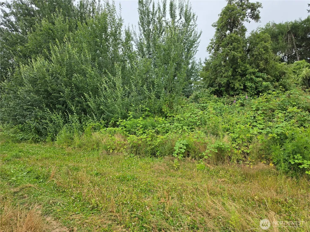 0 Benson Road Lynden, WA 98264