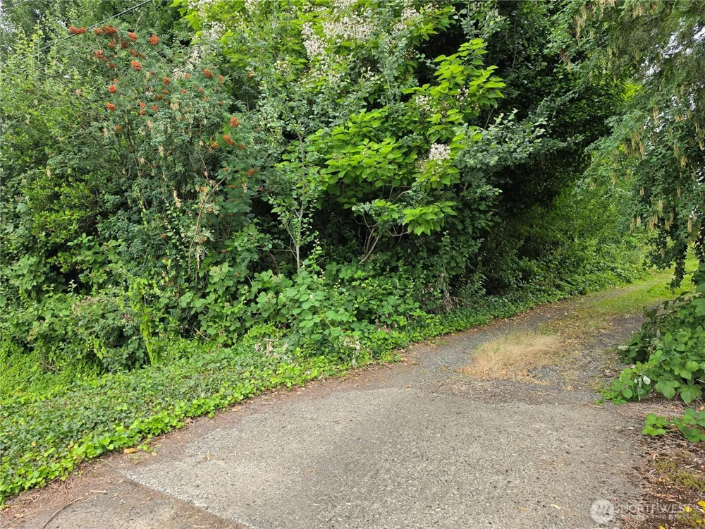 0 Benson Road Lynden, WA 98264