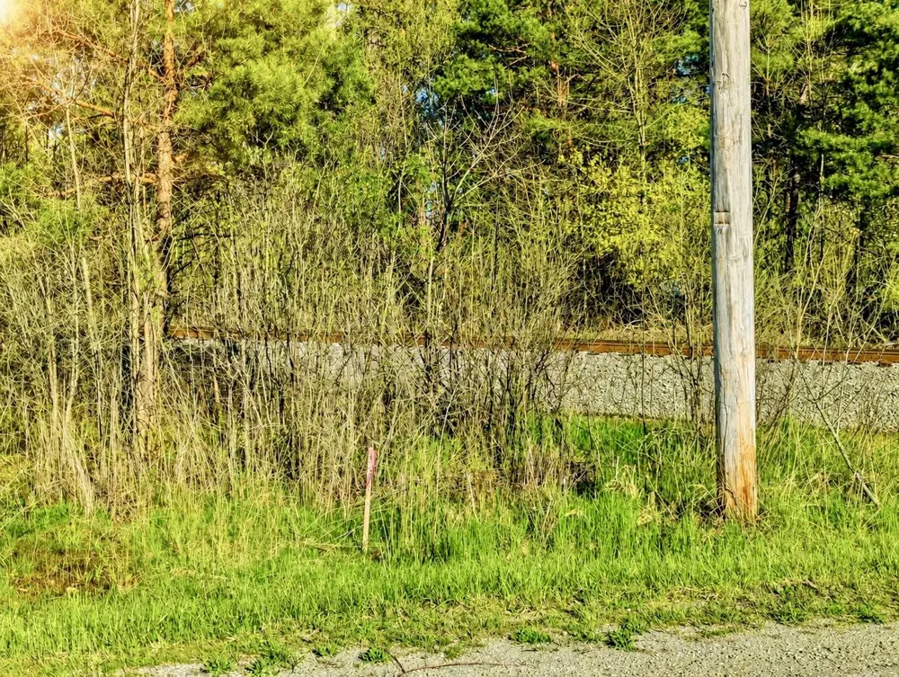 1742 National City Road Sherman Township, MI 48748