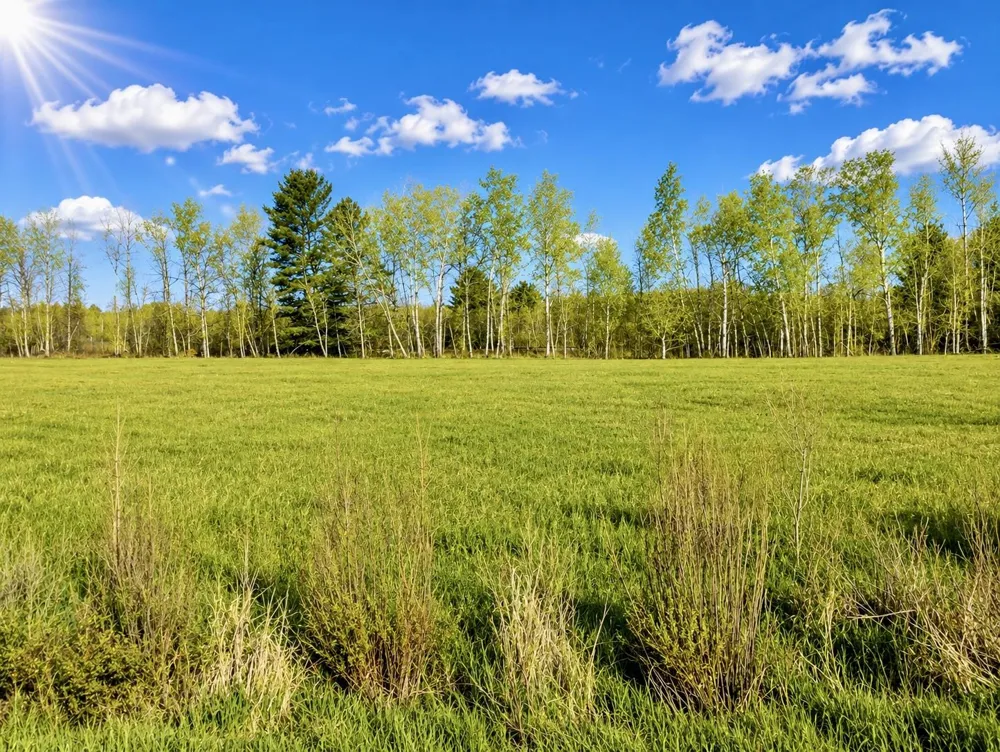 1742 National City Road Sherman Township, MI 48748