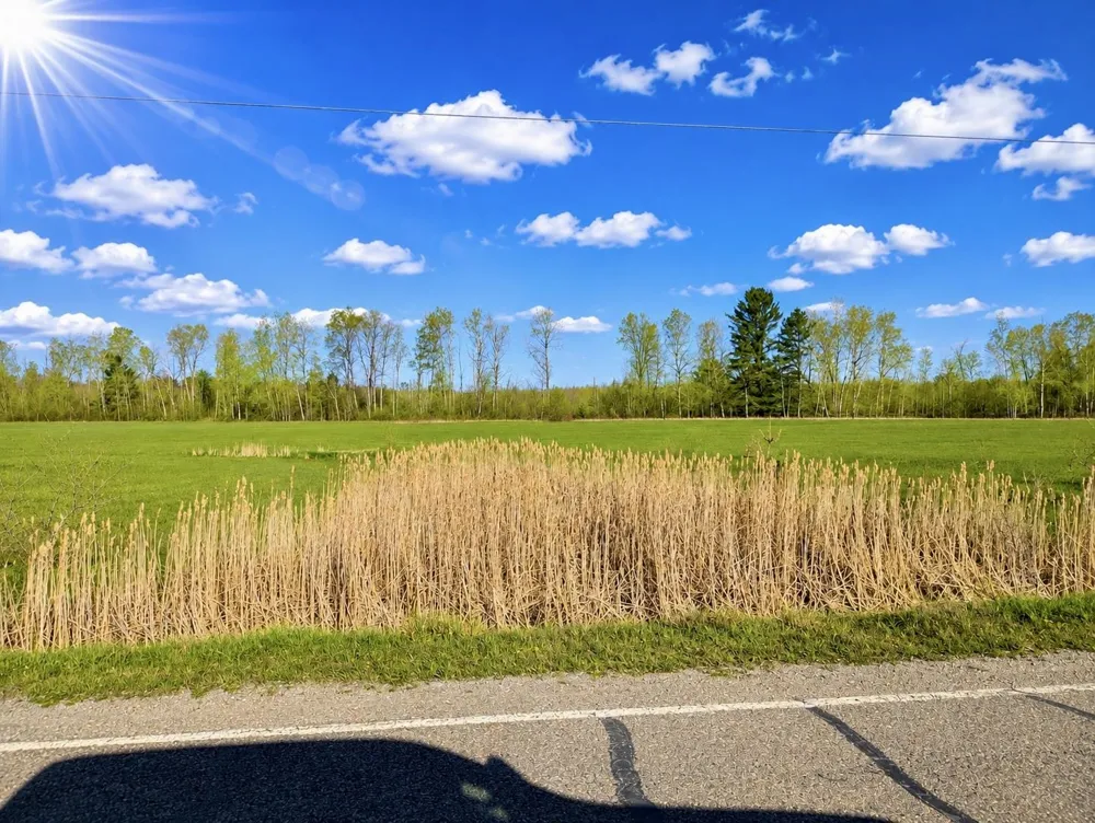 1744 National City Road Sherman Township, MI 48478