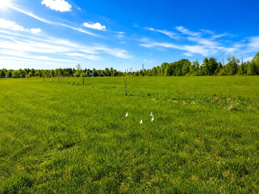 1746 National City Road Sherman Township, MI 48478