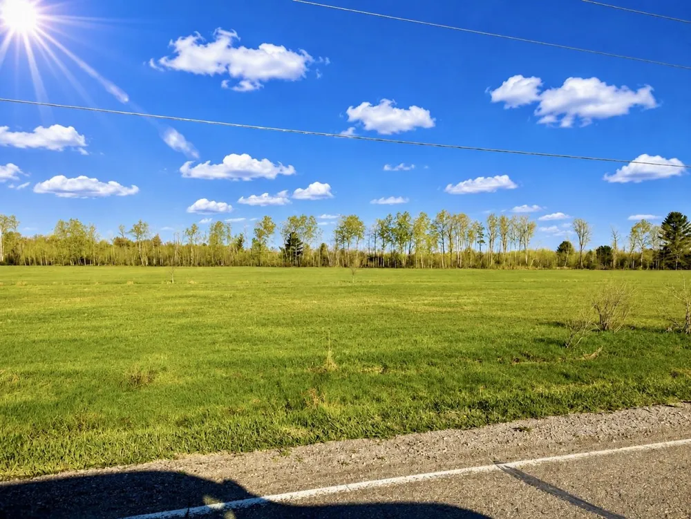 1746 National City Road Sherman Township, MI 48478