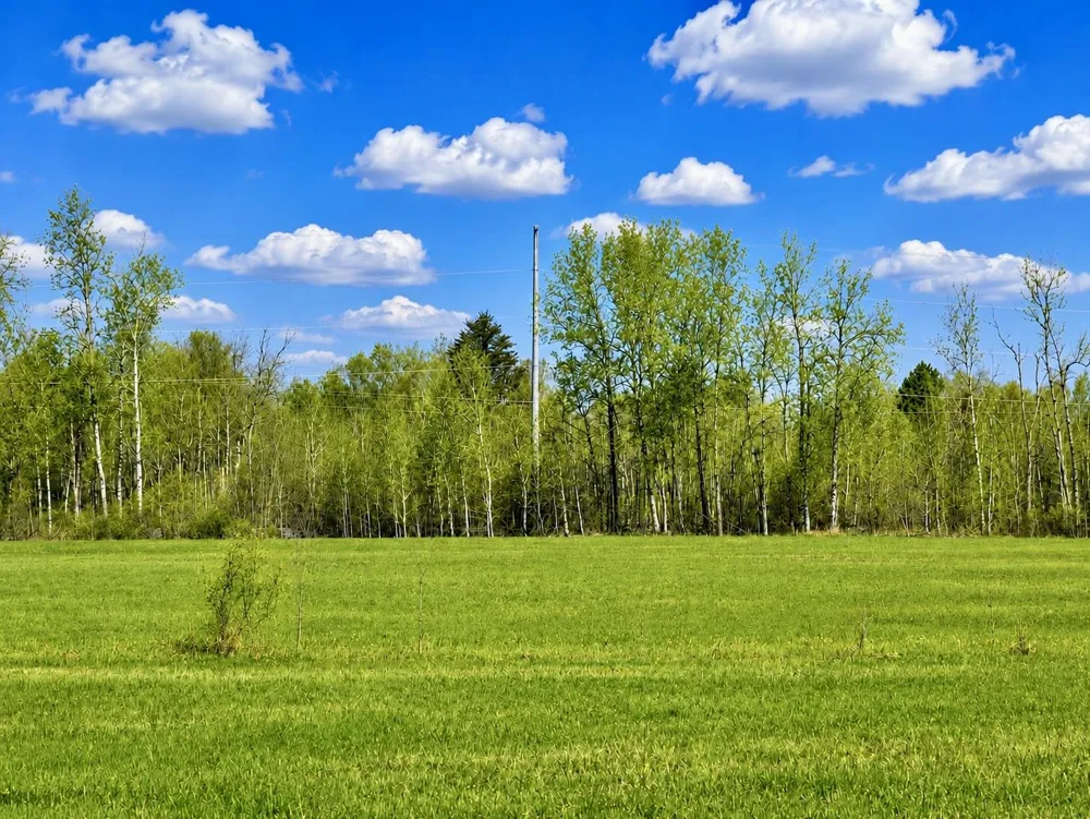 1746 National City Road Sherman Township, MI 48478