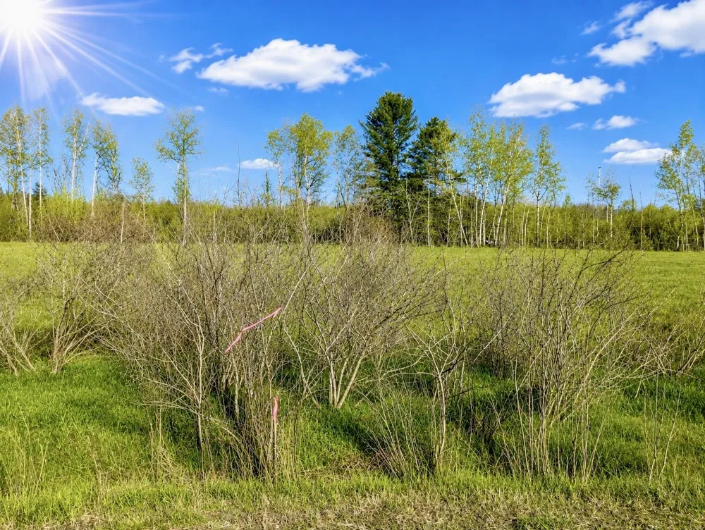 1750 National City Road Sherman Township, MI 48478