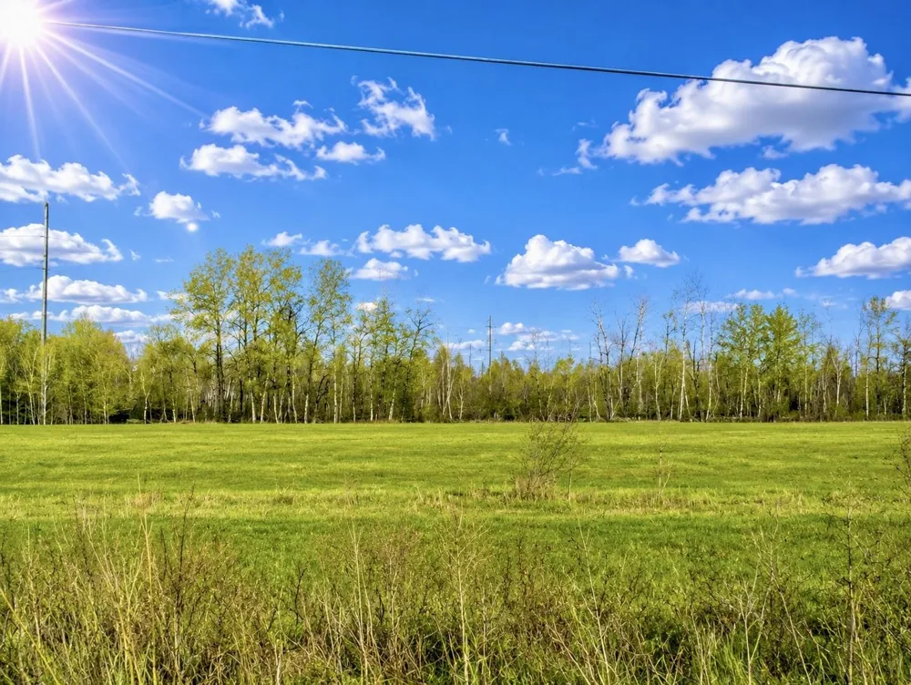 1750 National City Road Sherman Township, MI 48478