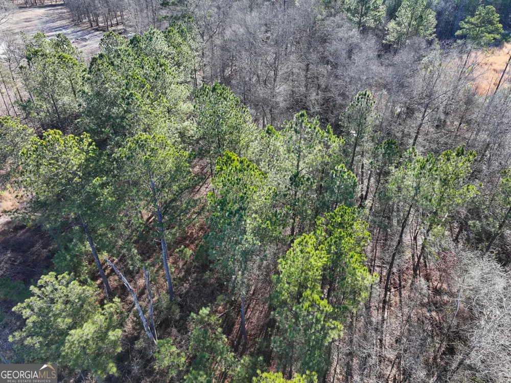 28 +/- Acres on Mays Bridge RD Rome, GA 30165