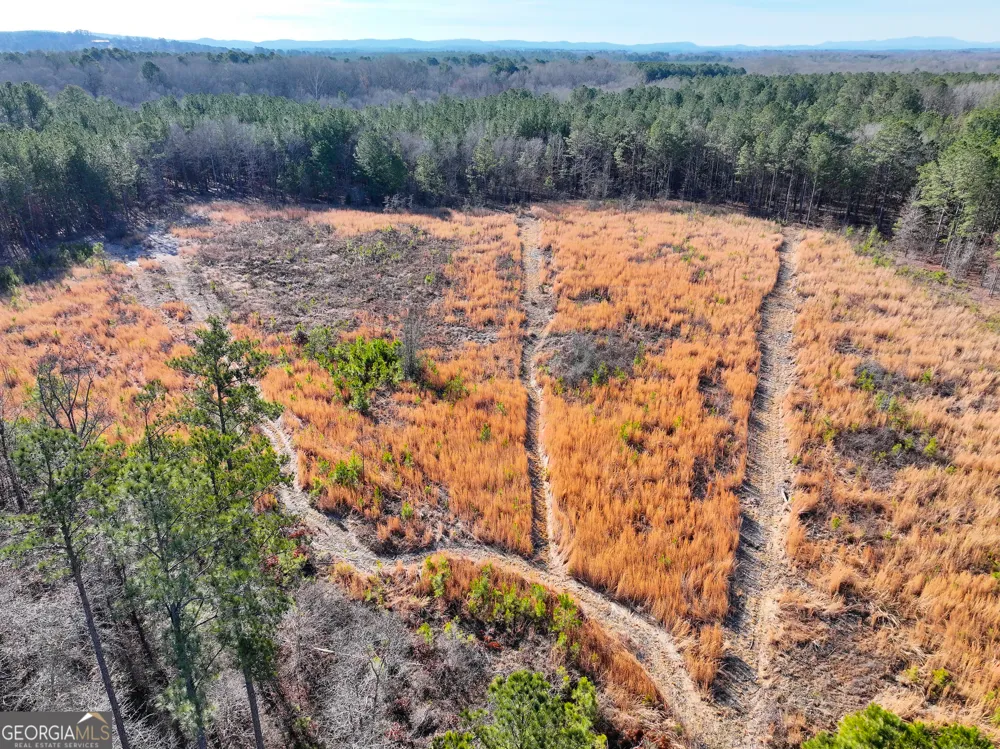 28 +/- Acres on Mays Bridge RD Rome, GA 30165