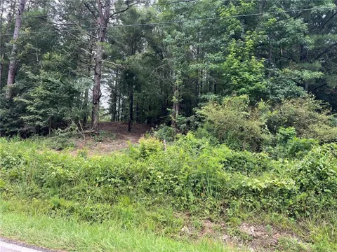 3963 Dabbs Bridge Road