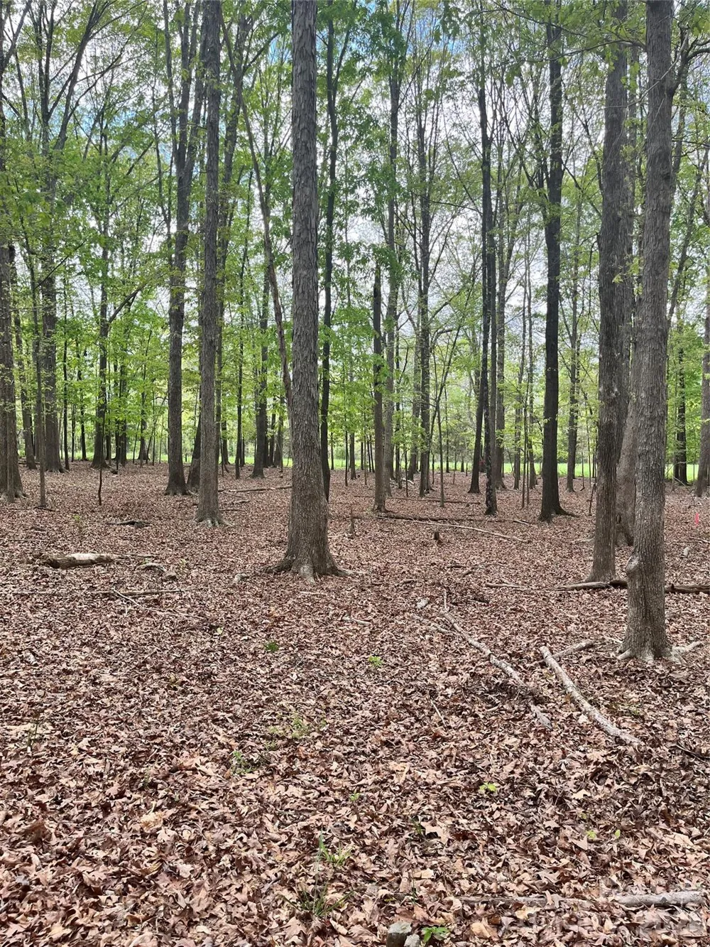 001 Wolf Pond Road Monroe, NC 28112