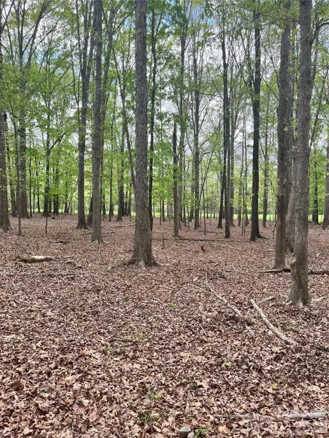 001 Wolf Pond Road