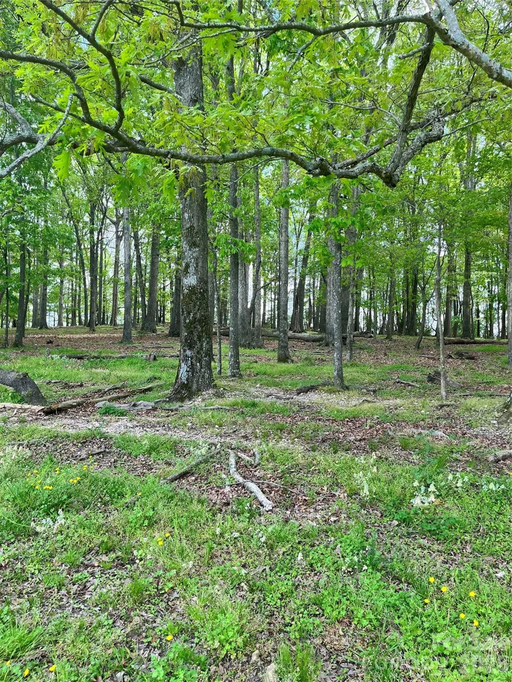 001 Wolf Pond Road Monroe, NC 28112