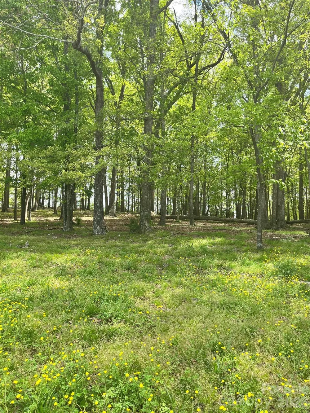 001 Wolf Pond Road Monroe, NC 28112