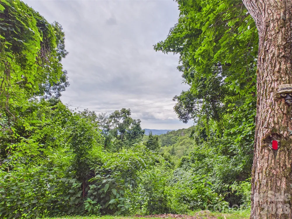 7904 Pinnacle Wind Lane Lenoir, NC 28645