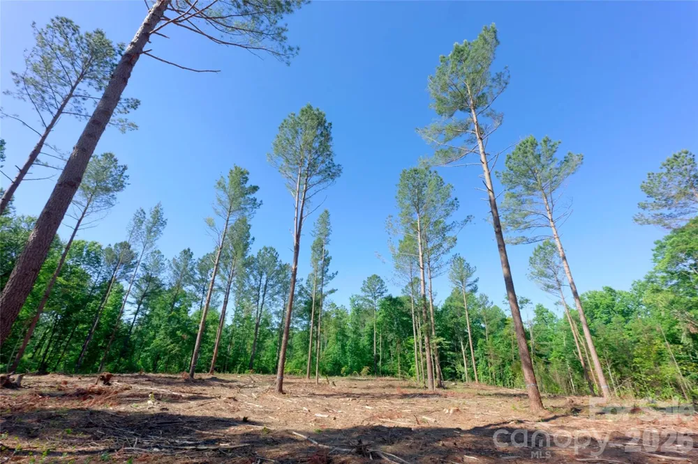 0 Carson Road #6 Cleveland, NC 27013