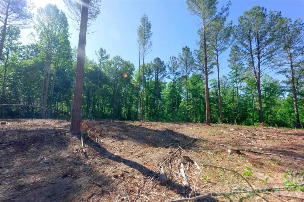 0 Carson Road #6 Cleveland, NC 27013