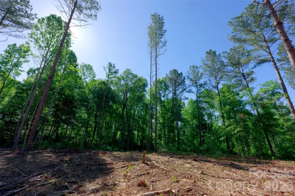 0 Carson Road #6 Cleveland, NC 27013