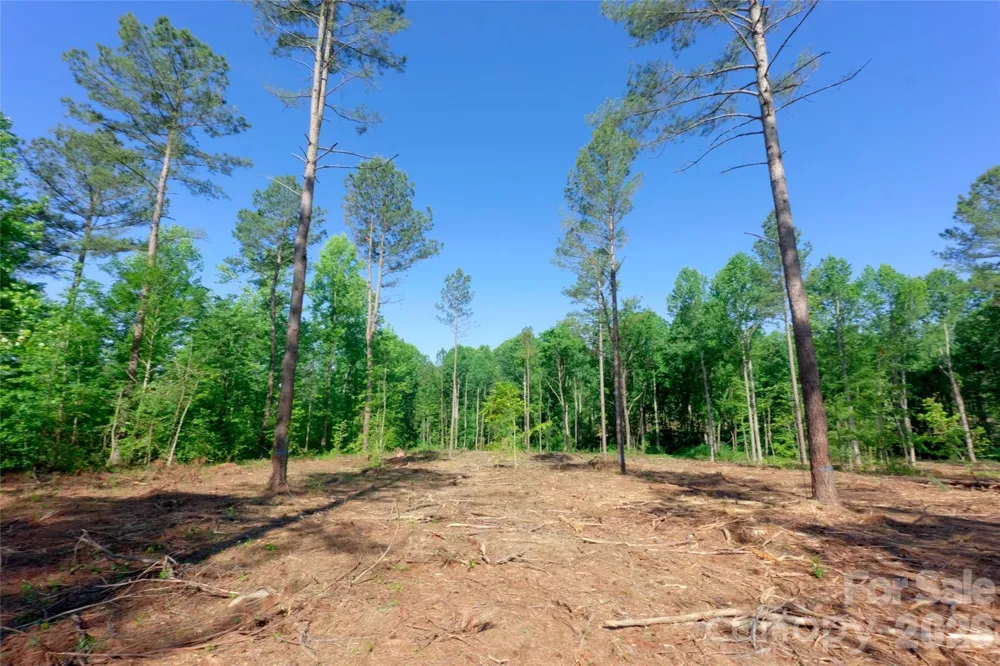 0 Carson Road #6 Cleveland, NC 27013
