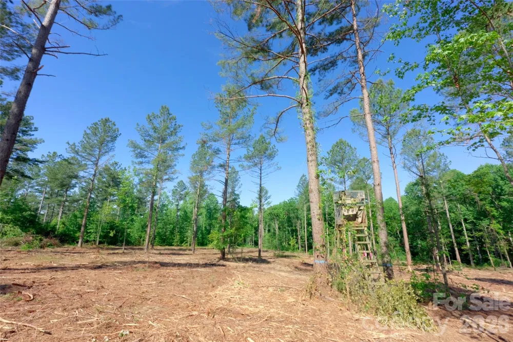 0 Carson Road #6 Cleveland, NC 27013