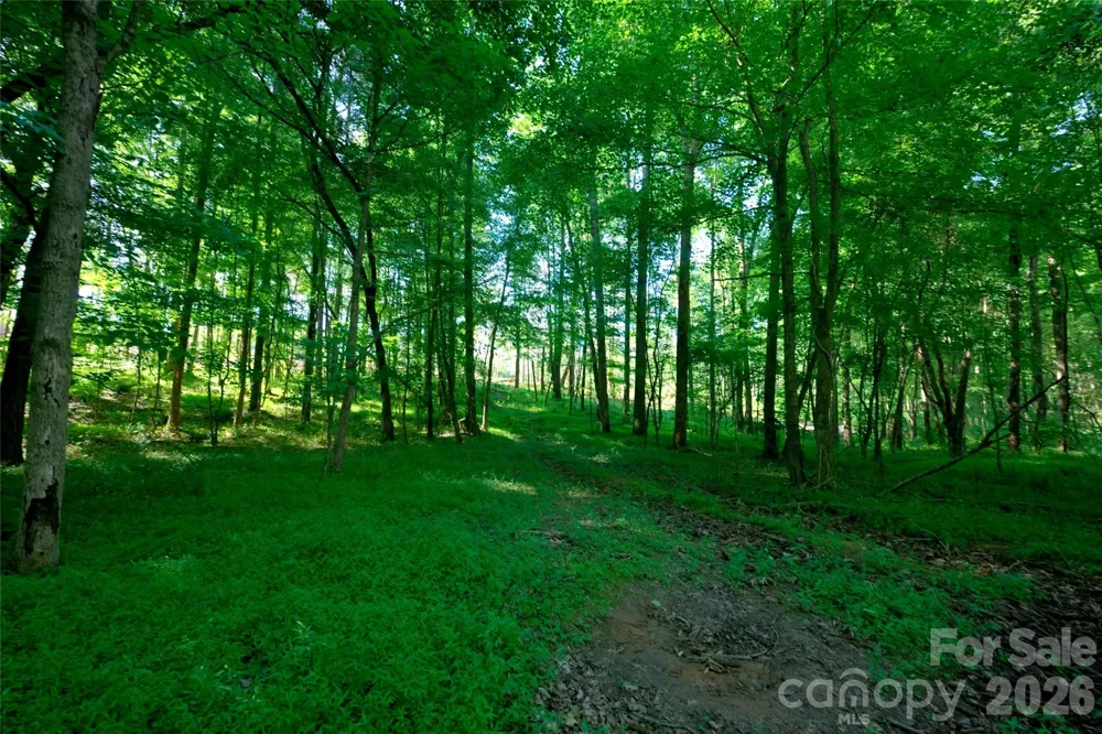 0 Carson Road #5 Cleveland, NC 27013