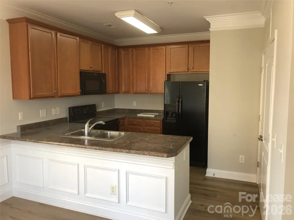 115 Plantation Ridge Drive #202 Mooresville, NC 28117