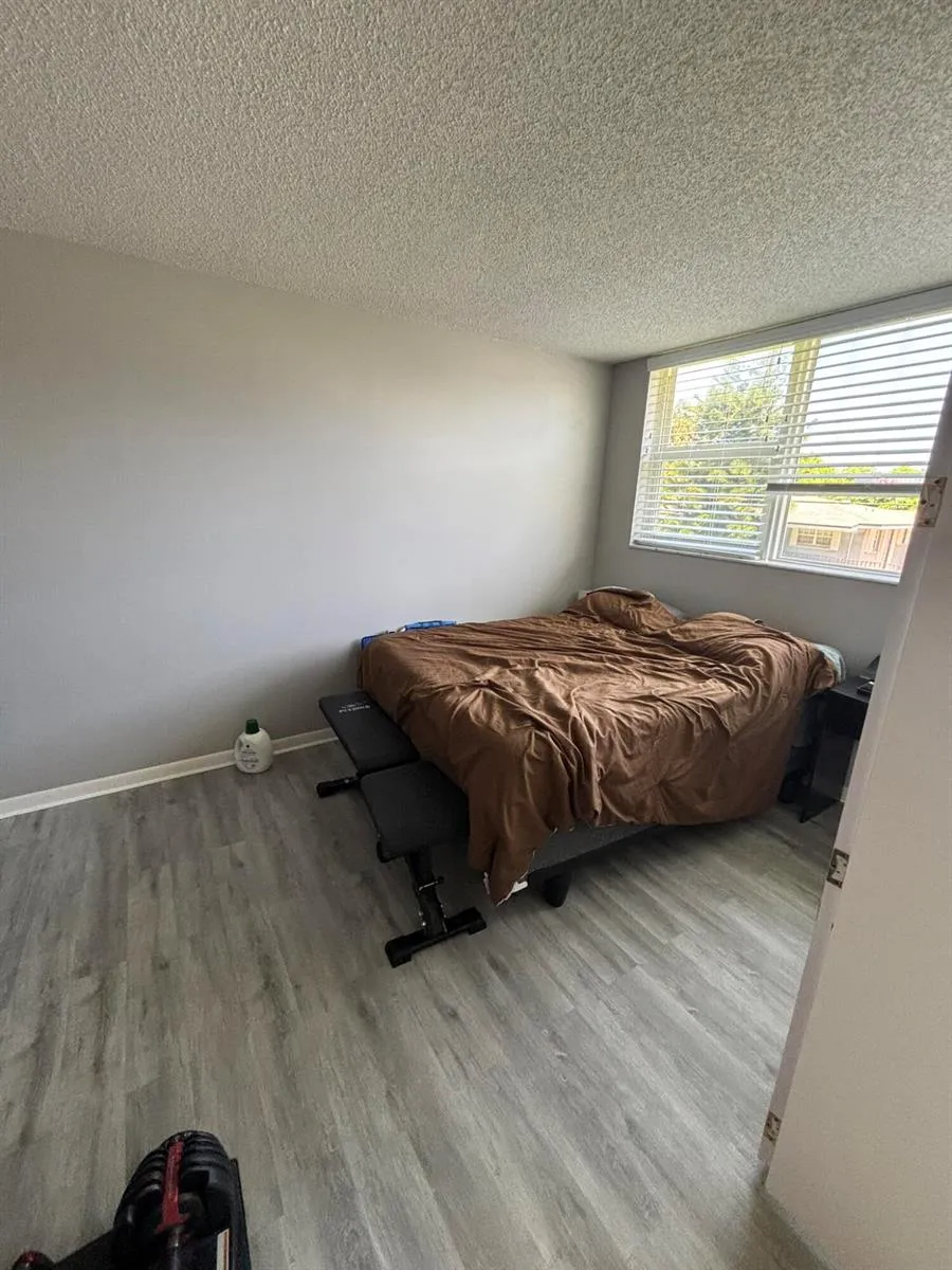 1238 HILLSBORO MILE #210 Hillsboro Beach, FL 33062