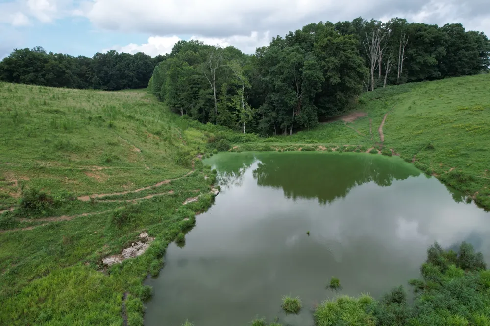 5 N Lick Creek Rd Franklin, TN 37064