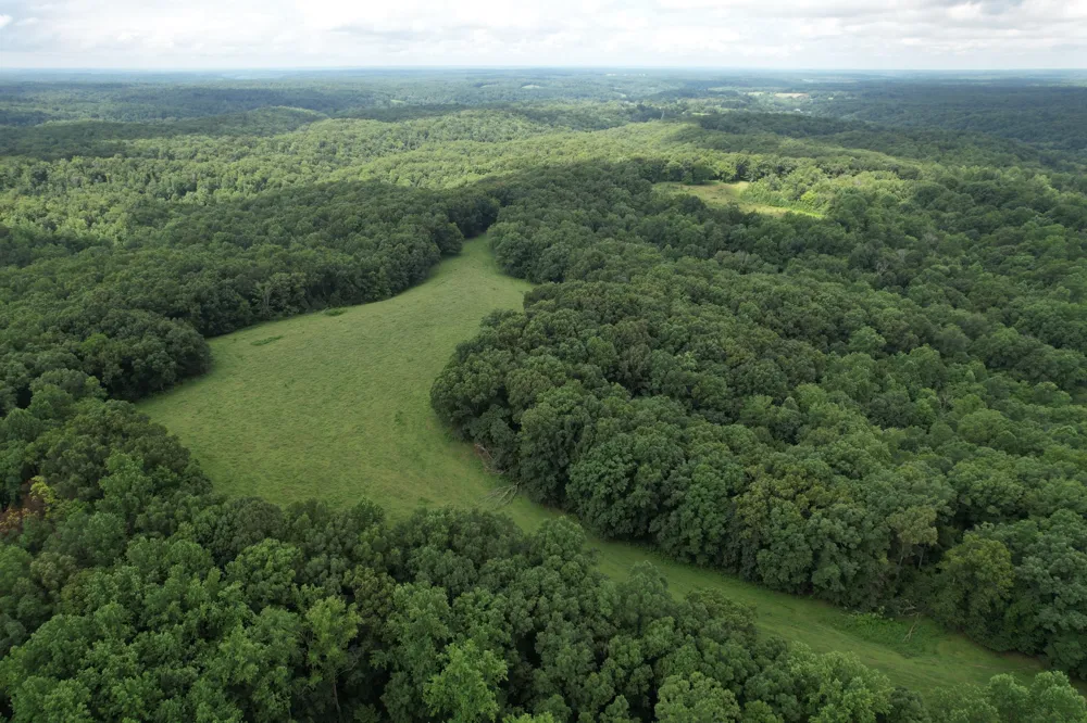5 N Lick Creek Rd Franklin, TN 37064