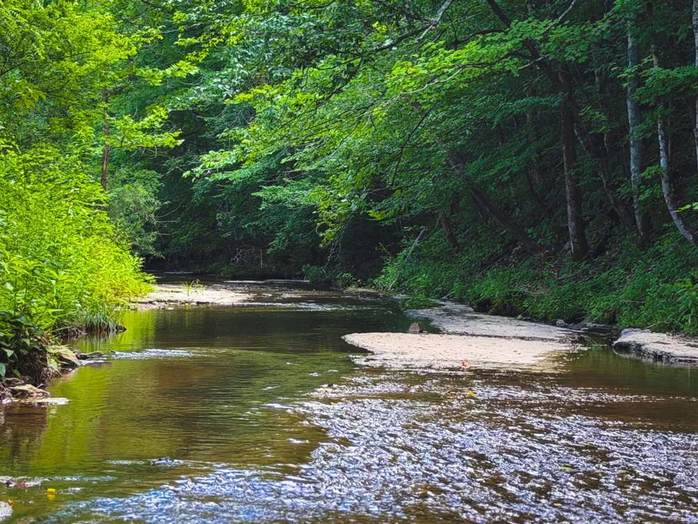 5 N Lick Creek Rd Franklin, TN 37064