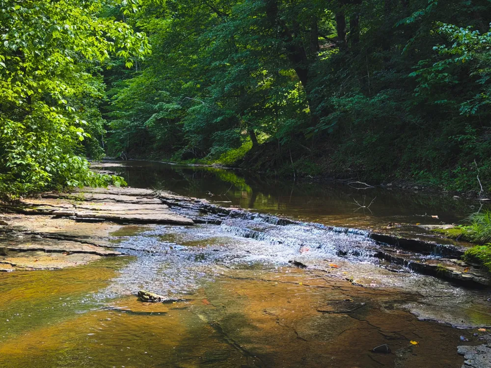 5 N Lick Creek Rd Franklin, TN 37064