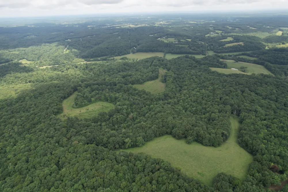 5 N Lick Creek Rd Franklin, TN 37064