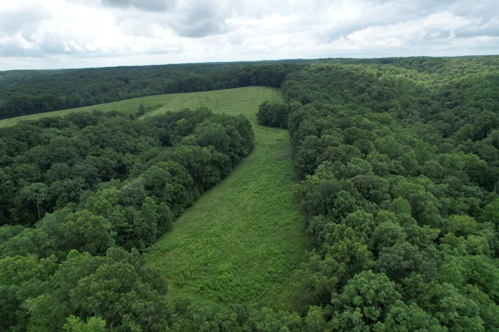 5 N Lick Creek Rd Franklin, TN 37064