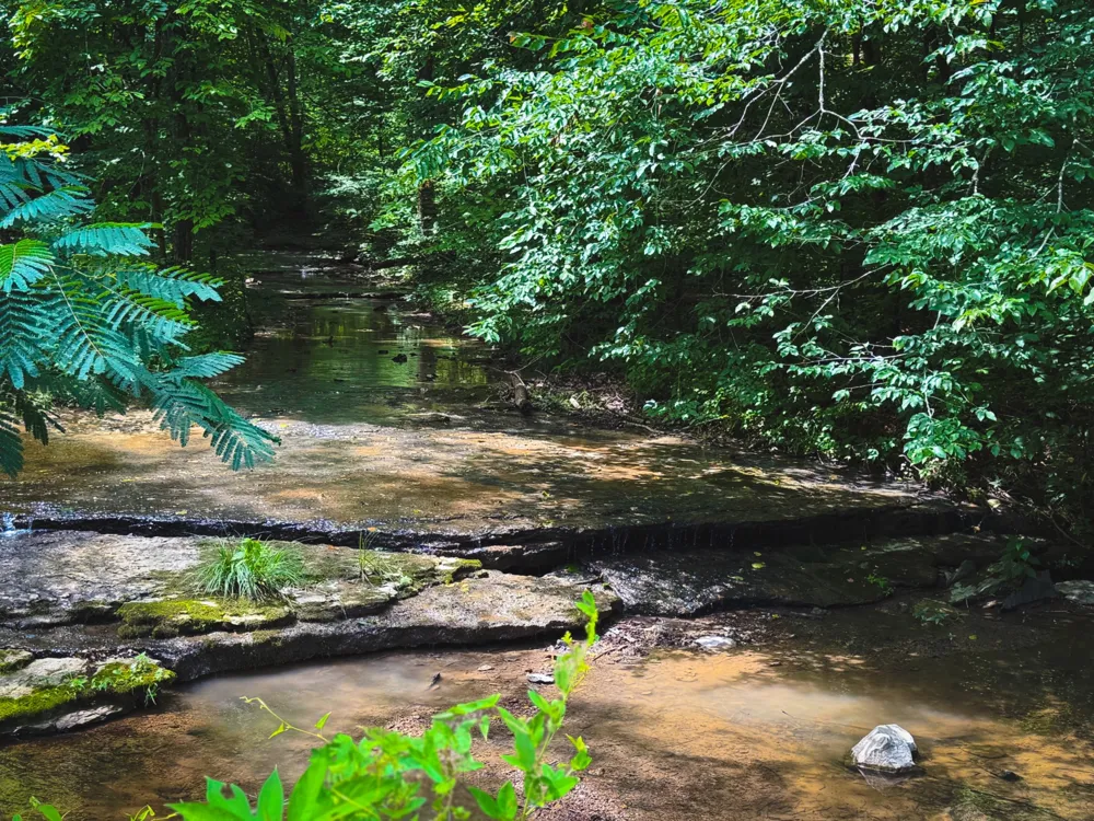 5 N Lick Creek Rd Franklin, TN 37064