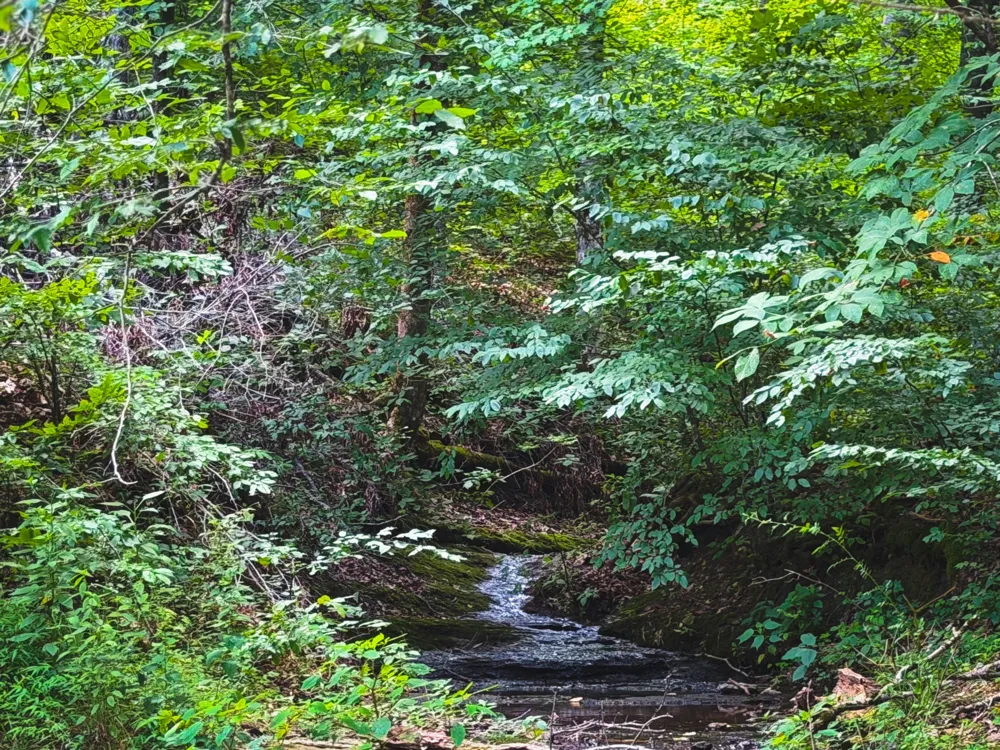 5 N Lick Creek Rd Franklin, TN 37064