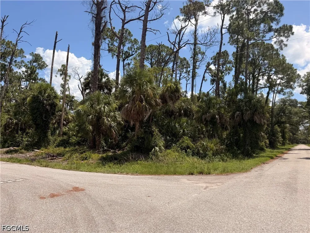 Orion Avenue Port Charlotte, FL 33954