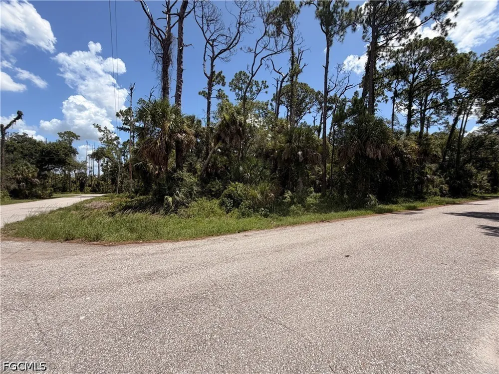 Orion Avenue Port Charlotte, FL 33954