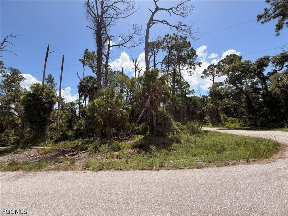 Orion Avenue Port Charlotte, FL 33954