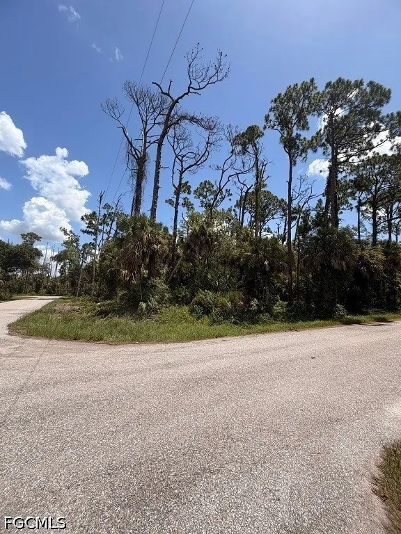 Orion Avenue Port Charlotte, FL 33954