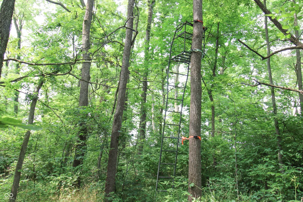 7390 325 W Fairland, IN 46126