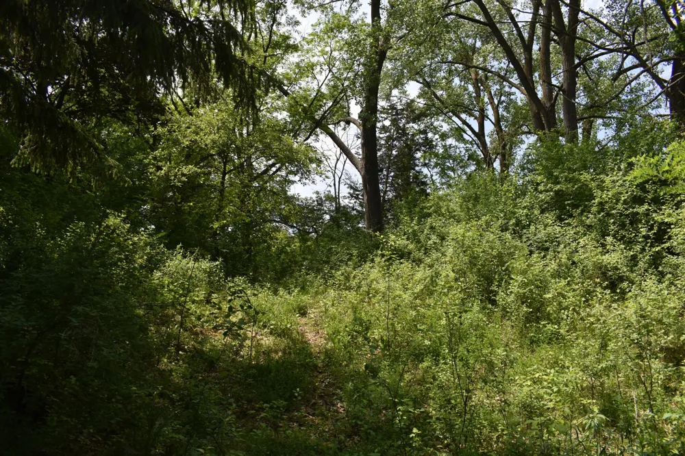 5500 Rowland Road Hopkins, MN 55343