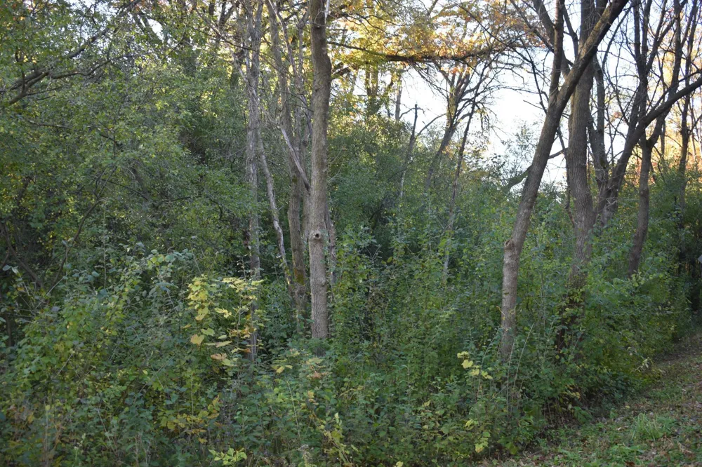 5500 Rowland Road Hopkins, MN 55343