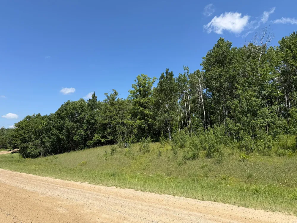 TBD County 95 Laporte, MN 56461