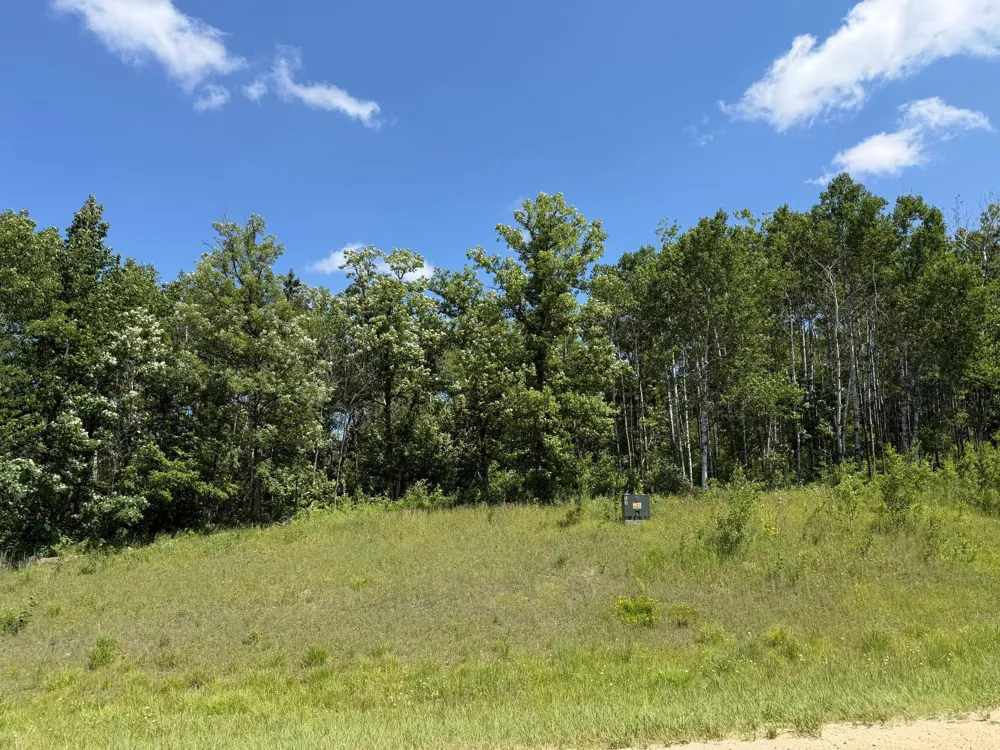 TBD County 95 Laporte, MN 56461