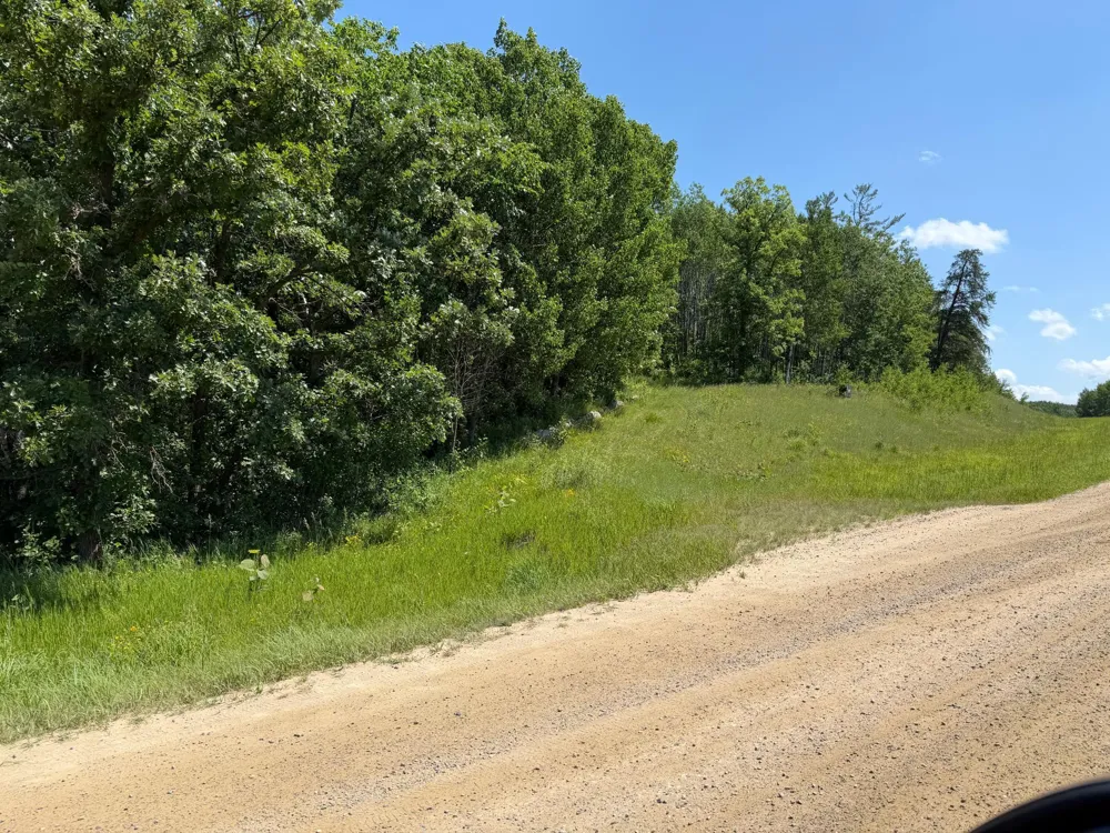 TBD County 95 Laporte, MN 56461