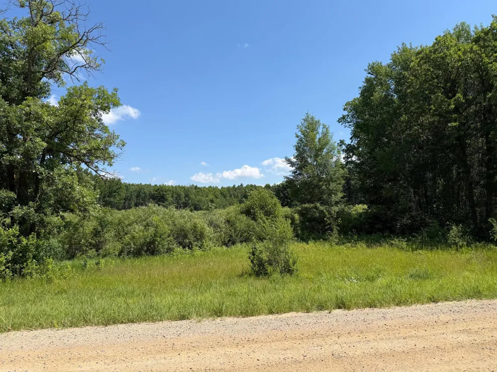 TBD County 95 Laporte, MN 56461