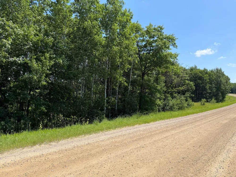 TBD County 95 Laporte, MN 56461