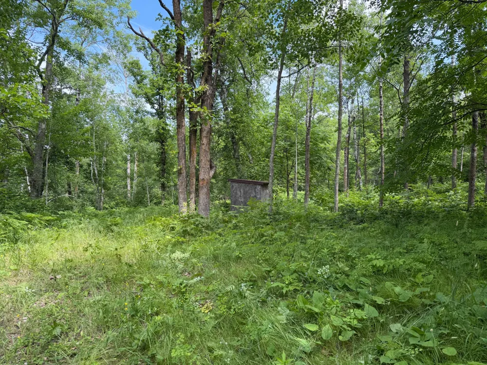 TBD County 95 Laporte, MN 56461