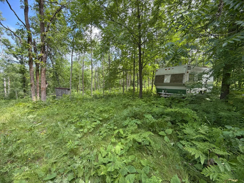 TBD County 95 Laporte, MN 56461
