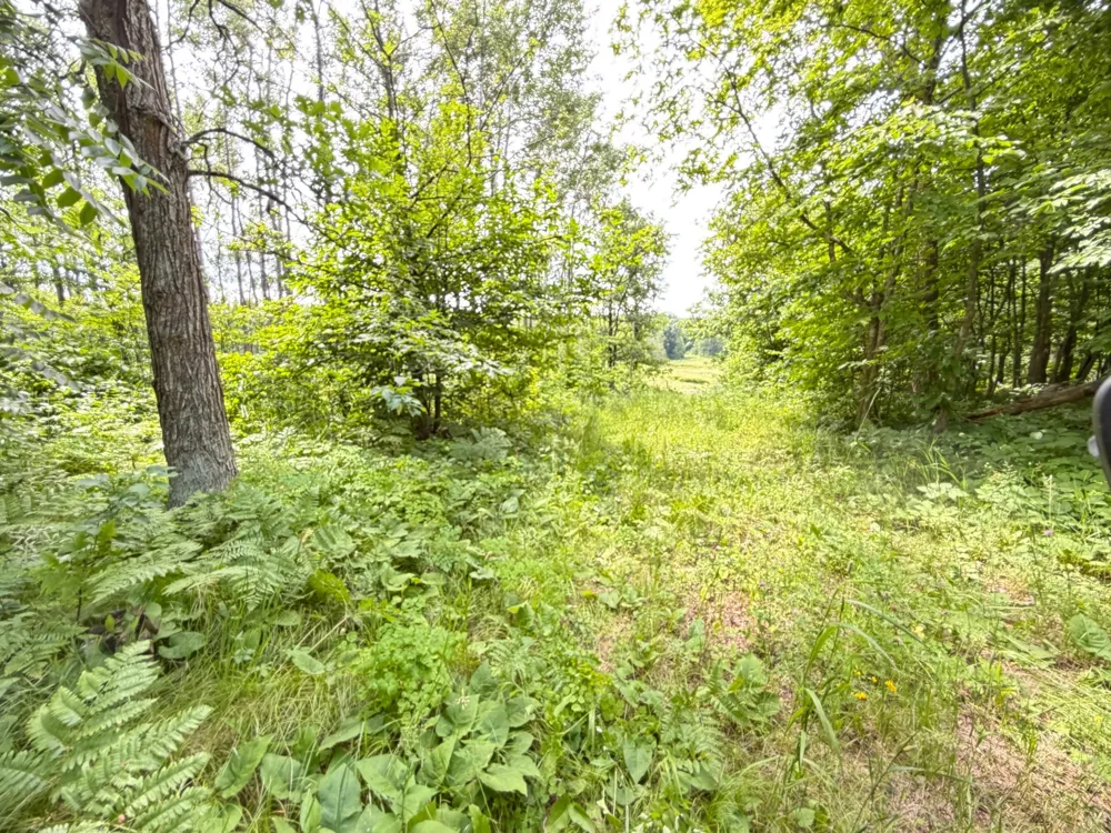 TBD County 95 Laporte, MN 56461