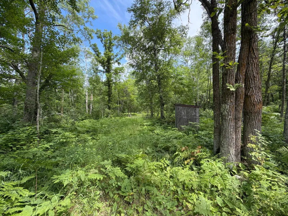 TBD County 95 Laporte, MN 56461